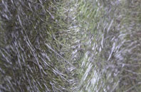 Trewarmett fibreglass roof work